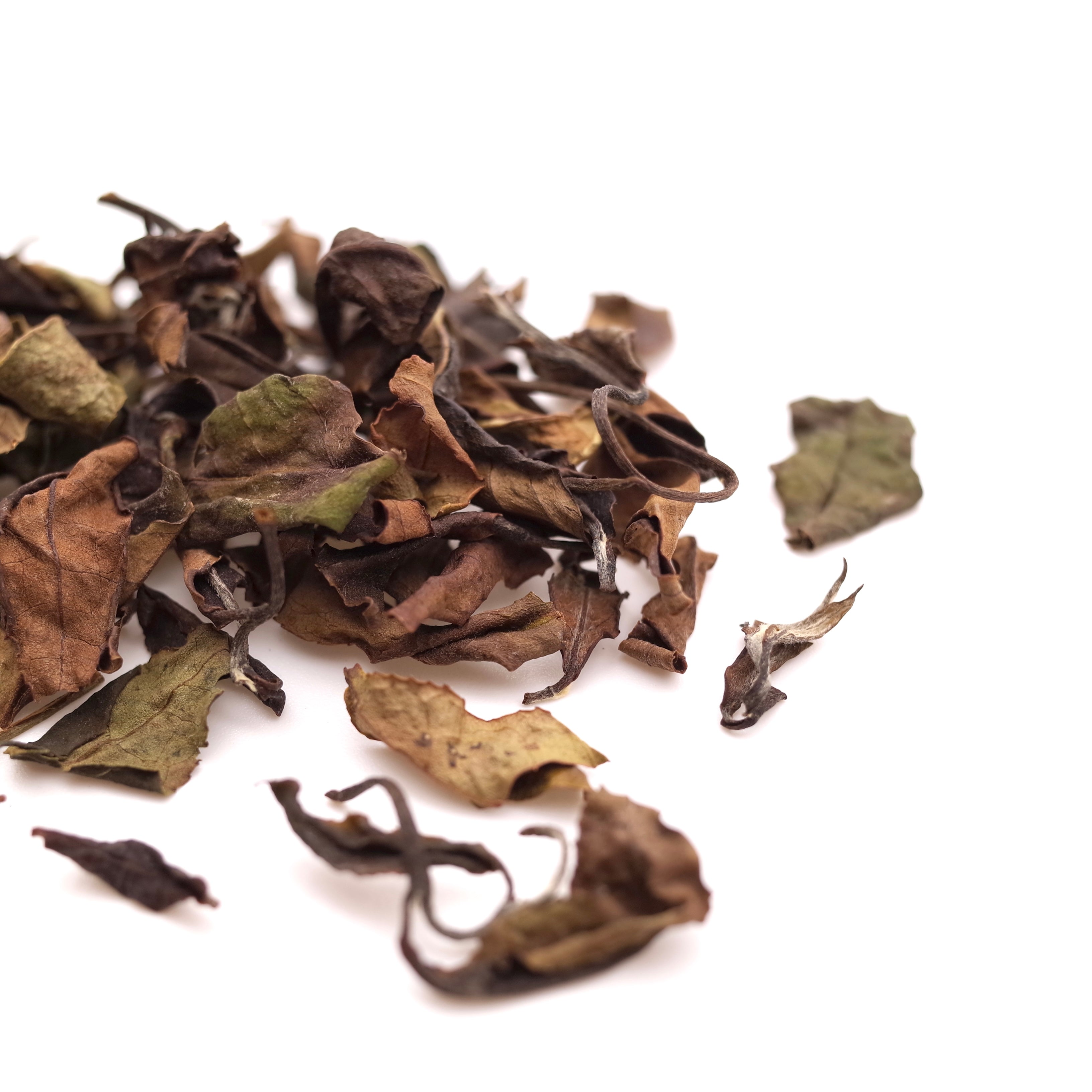 21017 日本白茶 [鹿児島・種子島] なんめい